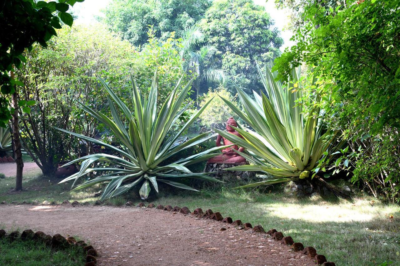 Baaz Jungle Resort Khawāsa Extérieur photo