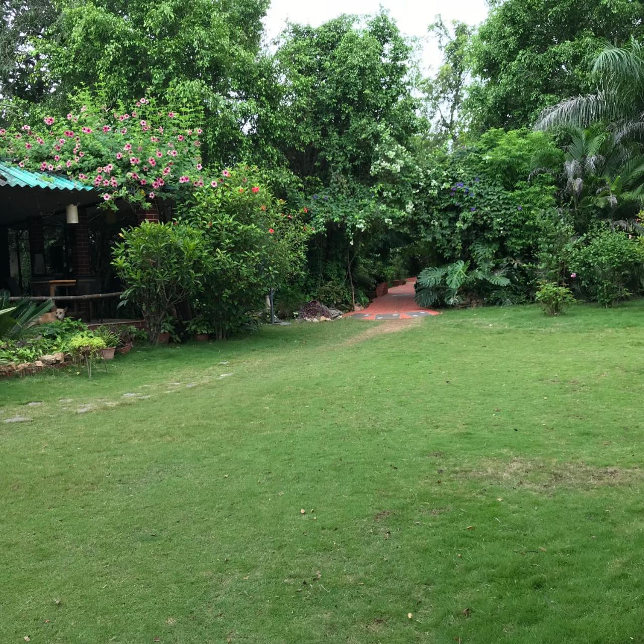 Baaz Jungle Resort Khawāsa Extérieur photo