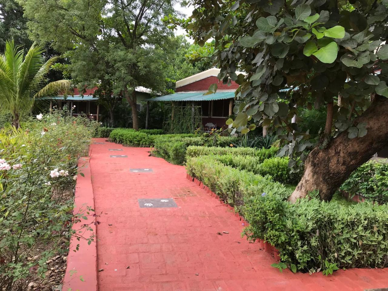 Baaz Jungle Resort Khawāsa Extérieur photo