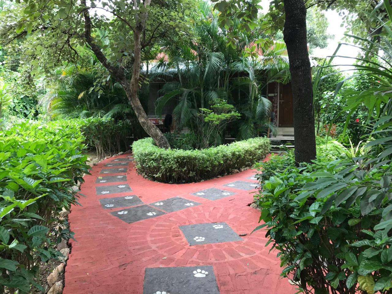 Baaz Jungle Resort Khawāsa Extérieur photo
