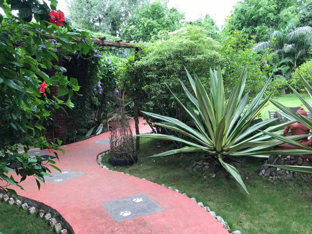 Baaz Jungle Resort Khawāsa Extérieur photo