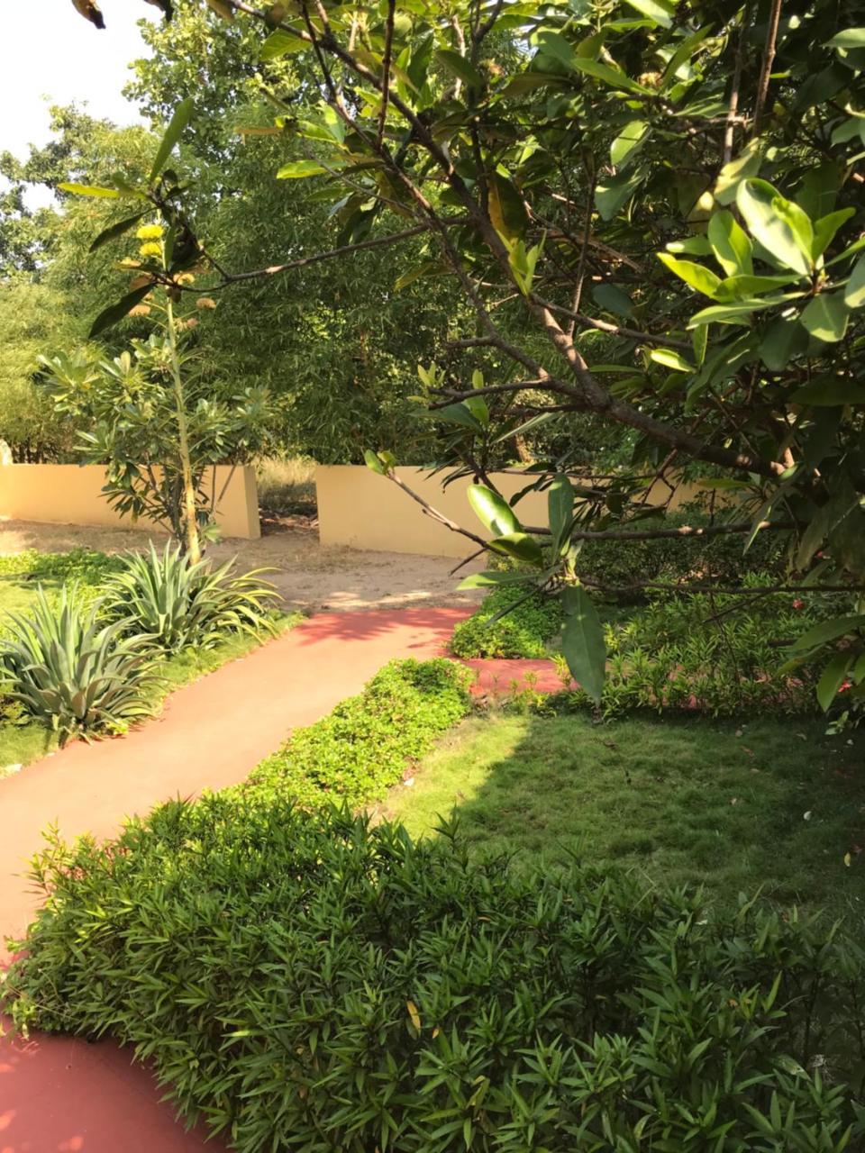 Baaz Jungle Resort Khawāsa Extérieur photo